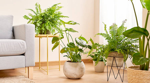 Elevate Your Home Decor with Artificial Plants