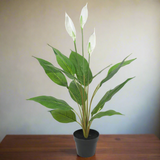 Artificial Flowering White Peace Lily / Calla Lily 95cm