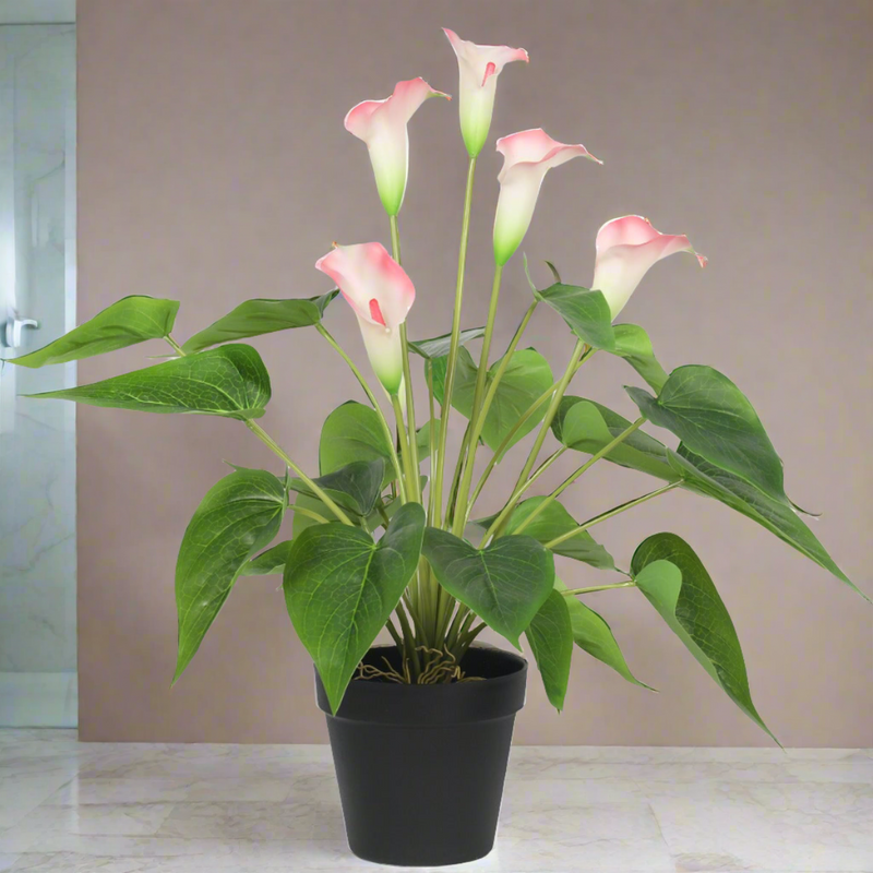 Artificial Flowering White & Pink Peace Lily / Calla Lily Plant 50cm