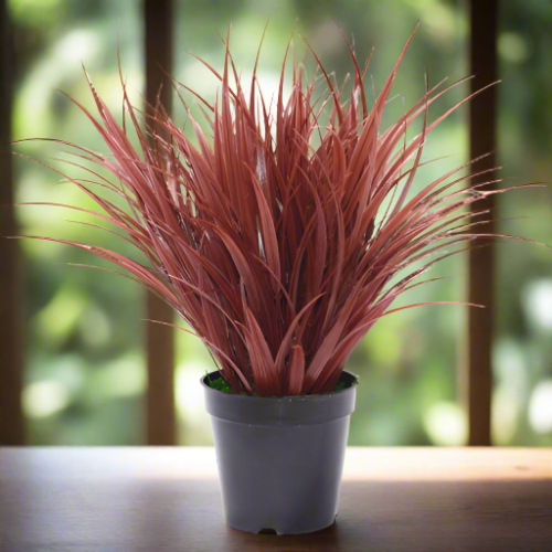 Artificial Ornamental Potted Dense Burgundy Grass 38 cm