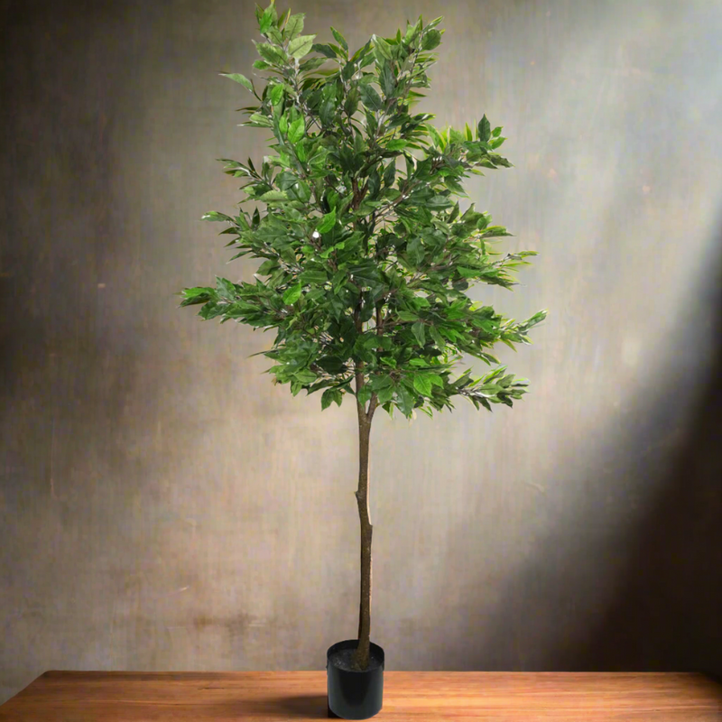 Artificial Potted Ficus Tree 160cm