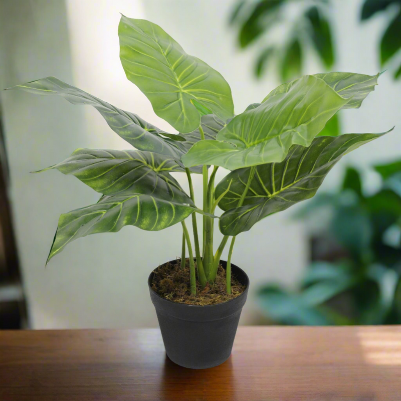 Artificial Potted Taro Plant / Elephant Ear 55cm