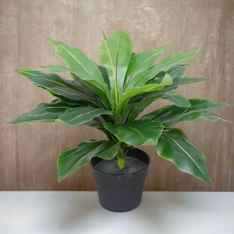 Artificial Potted Wide Leaf Birds Nest Fern 50cm