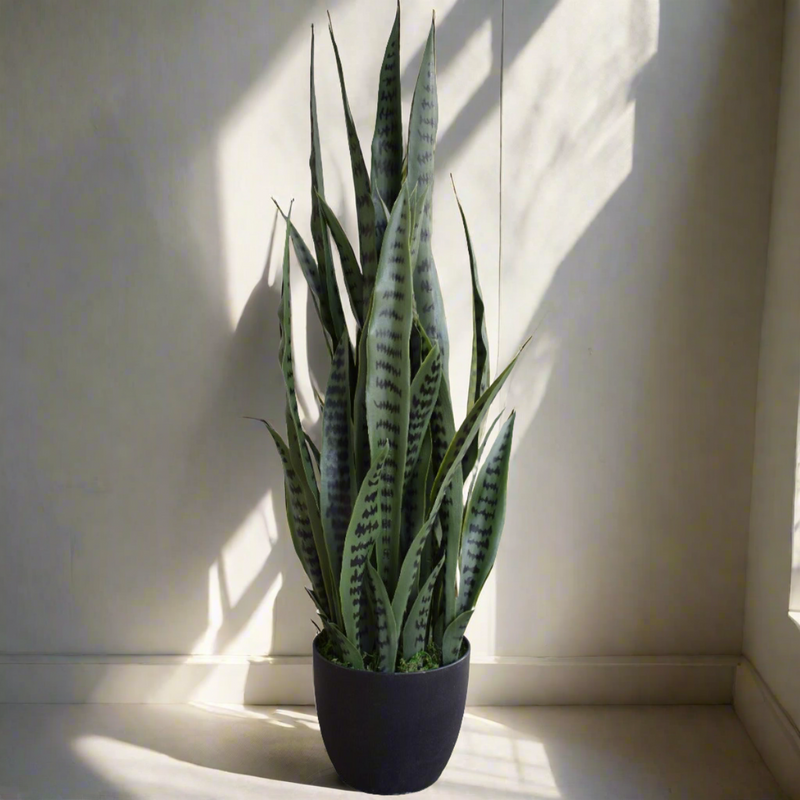 Artificial Snake Plant UV Resistant 100cm