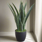 Artificial Snake Plant UV Resistant 60cm