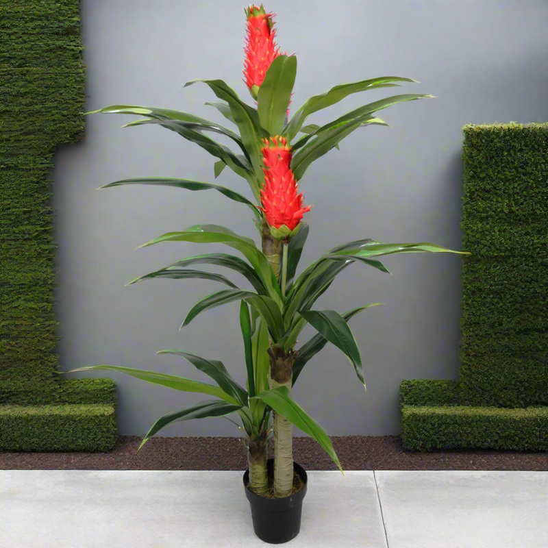 Faux Red Flowering Multi Cane Dracena 167cm