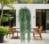 Hanging Fern Basket 110 cm3