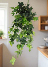 Hanging Green Ivy Bush 80cm2