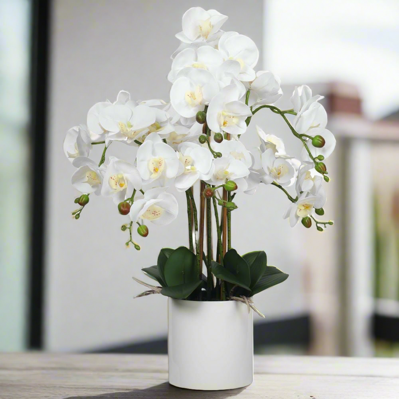 Large Multi-Stem White Potted Faux Orchid 65cm