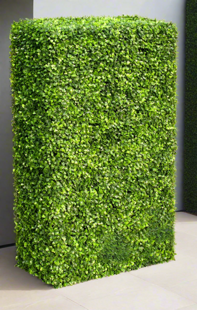 Large Portable Boxwood Hedges UV Stabilised 2m By 1m