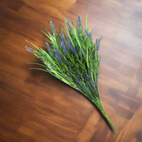 Long Stem Purple Lavender Plant 50cm UV Resistant