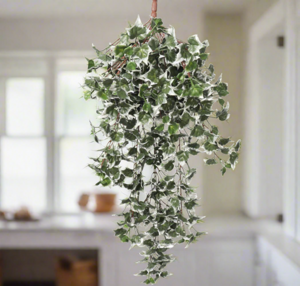 Mixed Green and White Tipped Ivy Bush 80cm UV Resistant2