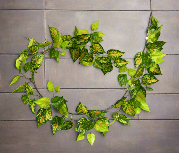 Mixed Yellow and Red Pothos Garland 190cm2