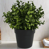 Small Potted Artificial Buxus Plant UV Resistant 20cm