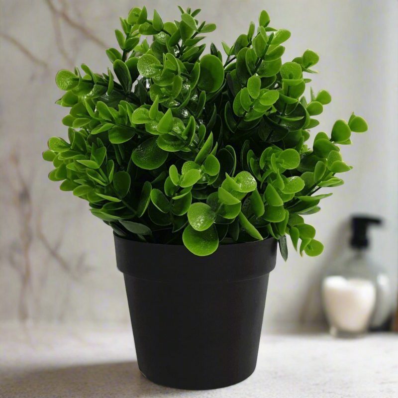 Small Potted Artificial Peperomia Plant UV Resistant 20cm