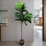 Tall Artificial Fiddle Leaf Fig 170cm