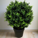 UV Resistant Artificial Topiary Shrub (Hedyotis) 50cm Mixed Green