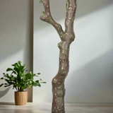 Artificial Eucalyptus Tree (Red Box Eucalyptus Polyanthemos) 150cm