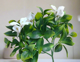 White Flowering Jasmine Stem UV Resistant 30cm