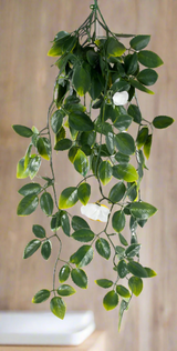 White Mixed Hanging Foliage UV 60cm2