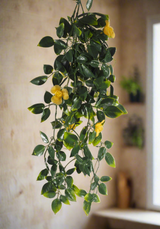 Yellow Mixed Hanging Foliage UV 60cm3