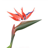 Artificial Bird Of Paradise Plant 150cm (Red Flowers)10