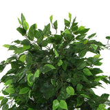Artificial Ficus Tree 180cm Nearly Natural UV Resistant3