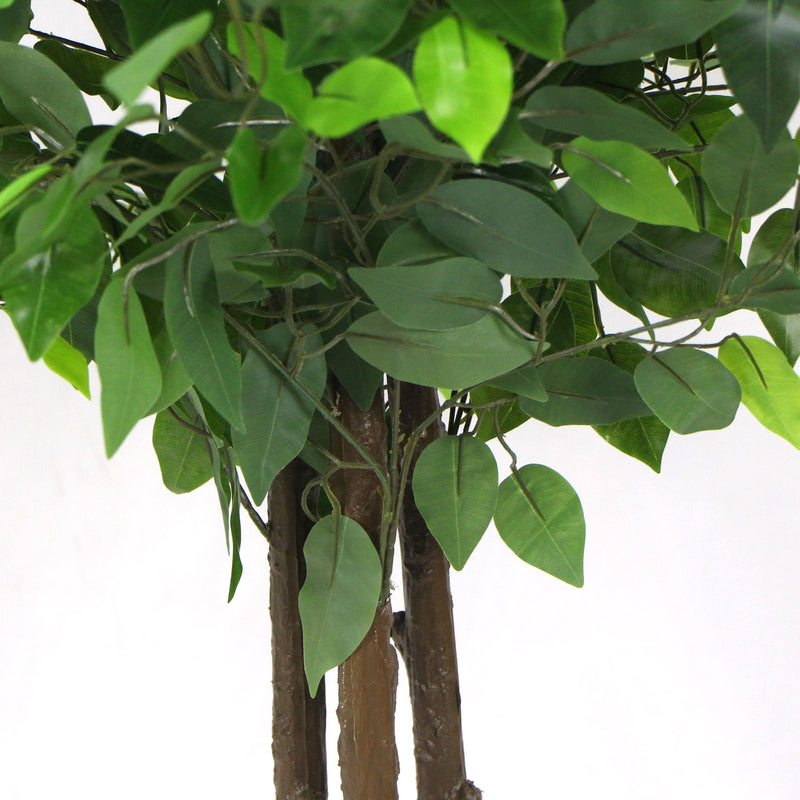 Artificial Ficus Tree 180cm Nearly Natural UV Resistant5