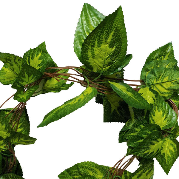 Artificial Pothos / Ivy Hanging Vines 260cm Each (5 pack)4