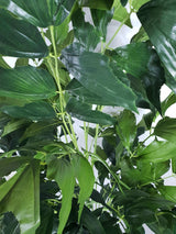 Faux Fishtail Palm Tree 160cm 2