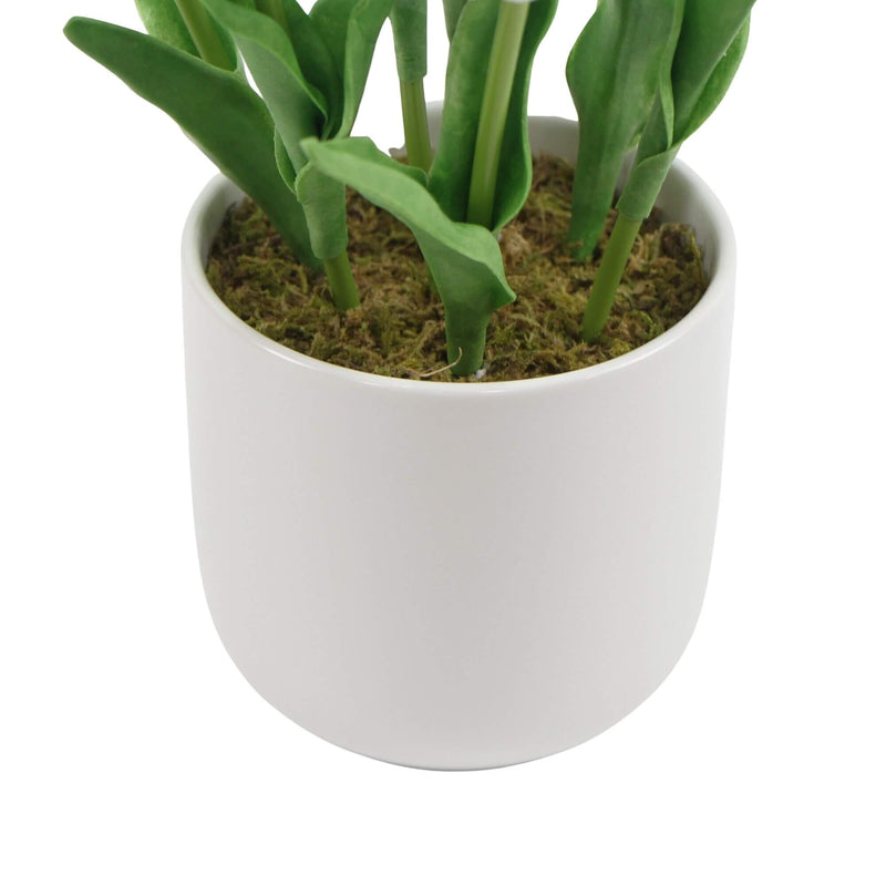 Flowering White Artificial Tulip Plant Arrangement With Ceramic Bowl 35cm3