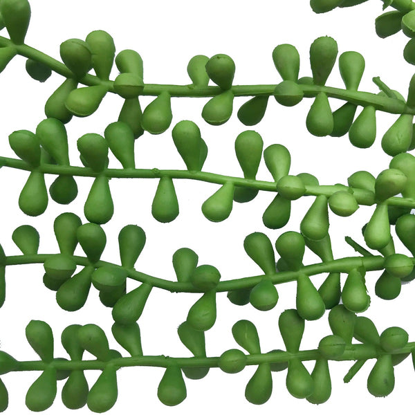 Hanging Succulent String of Pearl Beads 75cm2