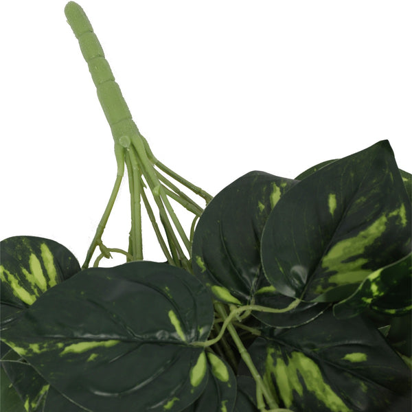 Heart Leaf Philodendron Hanging Creeper Bush 73cm2