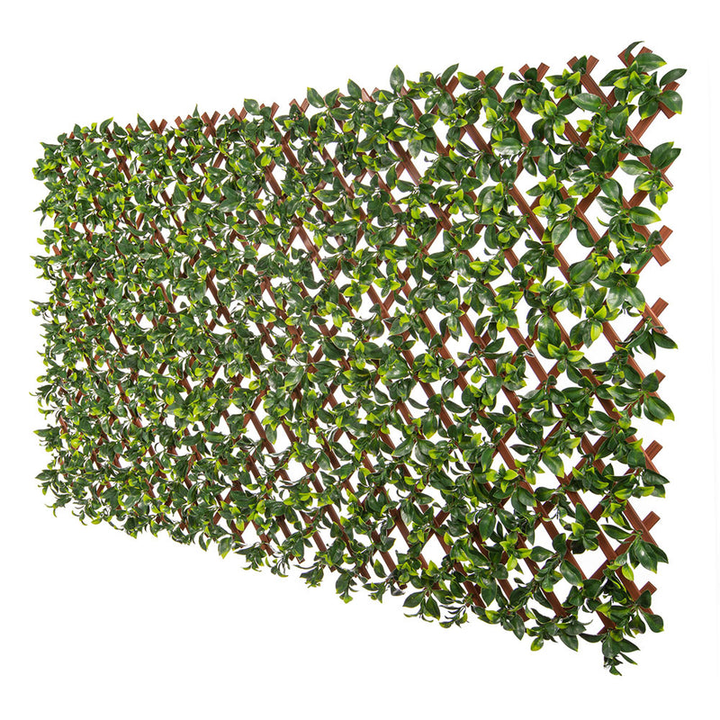 Jasmine Artificial Hedge Extendable Trellis / Screen 2 Meter By 1 Meter UV Resistant (PVC)2