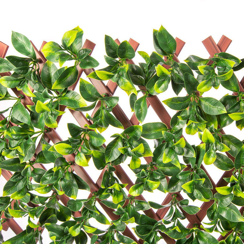 Jasmine Artificial Hedge Extendable Trellis / Screen 2 Meter By 1 Meter UV Resistant (PVC)4