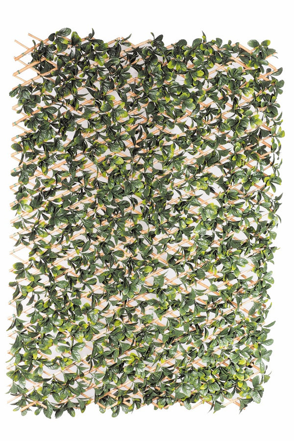 Laurel Hedge Extendable Light Timber Trellis / Screen 2 Meter By 1 Meter UV Stabilised2