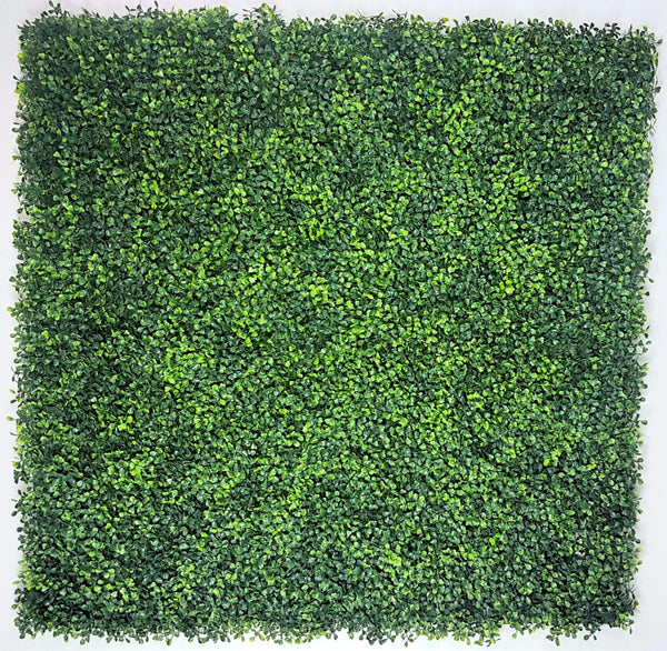 Mixed Boxwood Hedge Panels / Screens UV Resistant 1m x 1m2