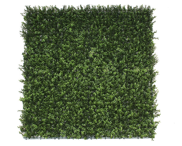 Premium Natural Buxus Hedge Panels UV Resistant 1m x 1m2