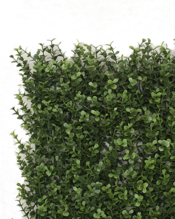 Premium Natural Buxus Hedge Panels UV Resistant 1m x 1m3
